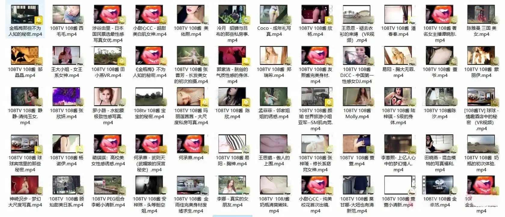108TV酱 写真机构视频资源合集下载