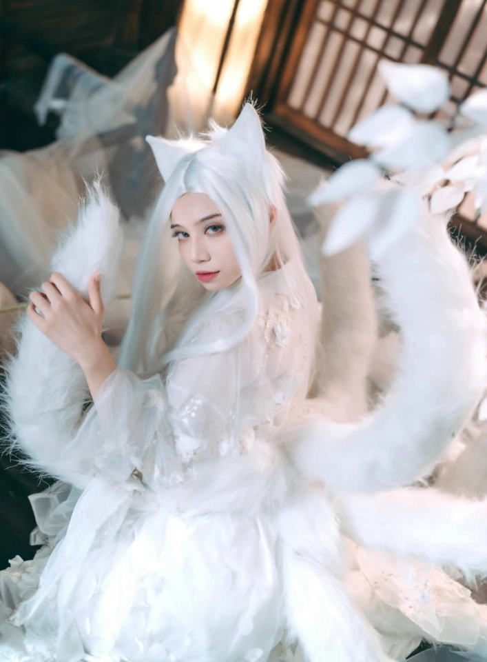 贰加六 超精美Cosplay美图合集